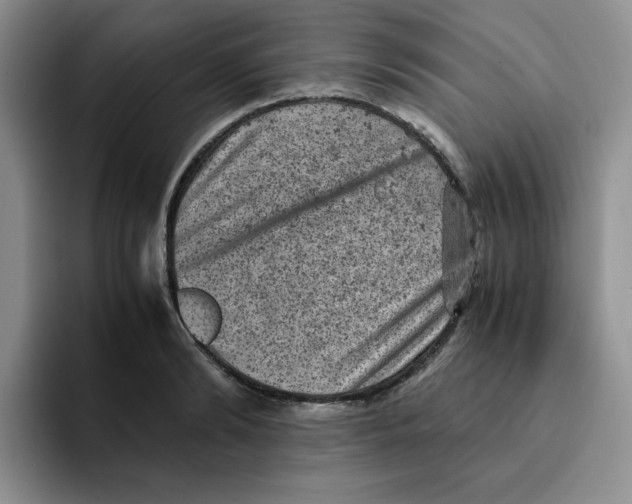 X0000091650894200709201124