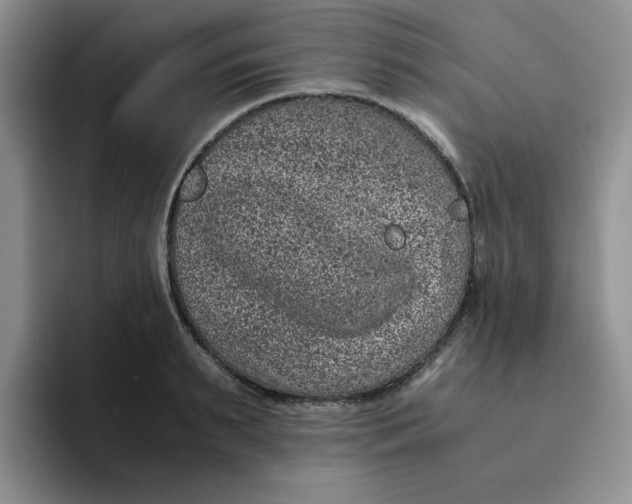 X0000091650895200709201124