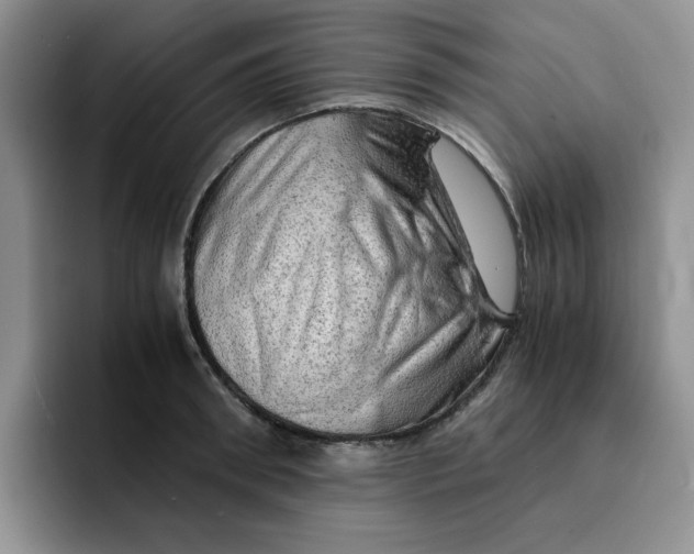 X0000091650898200709201124