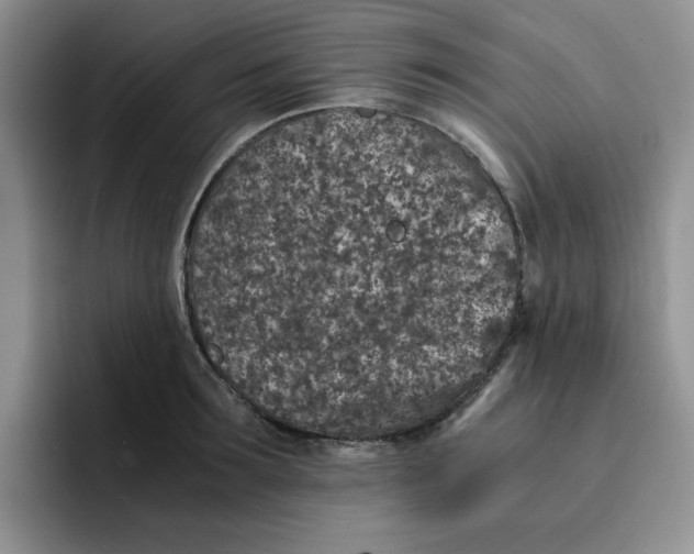 X0000091650899200709201124