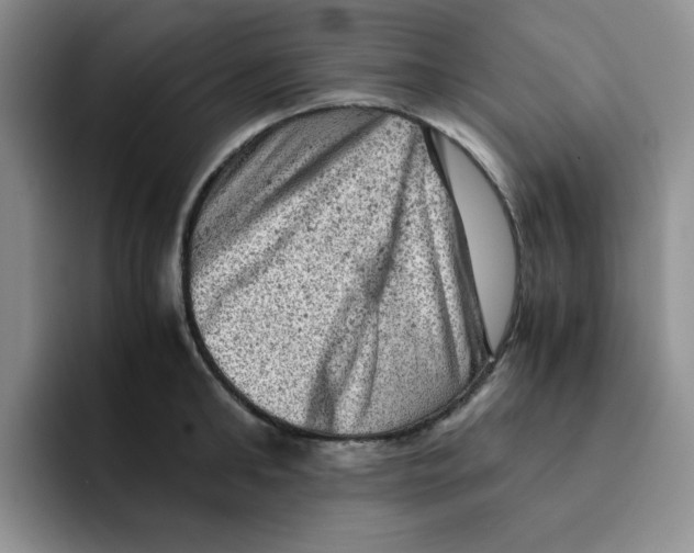 X0000091650902200709201124