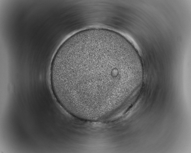 X0000091650903200709201124