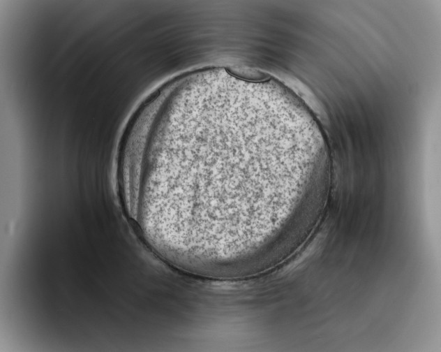 X0000091650904200709201124