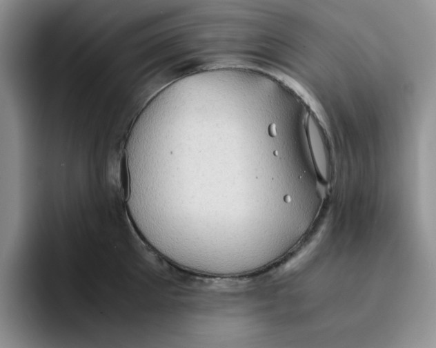 X0000091650905200709201124