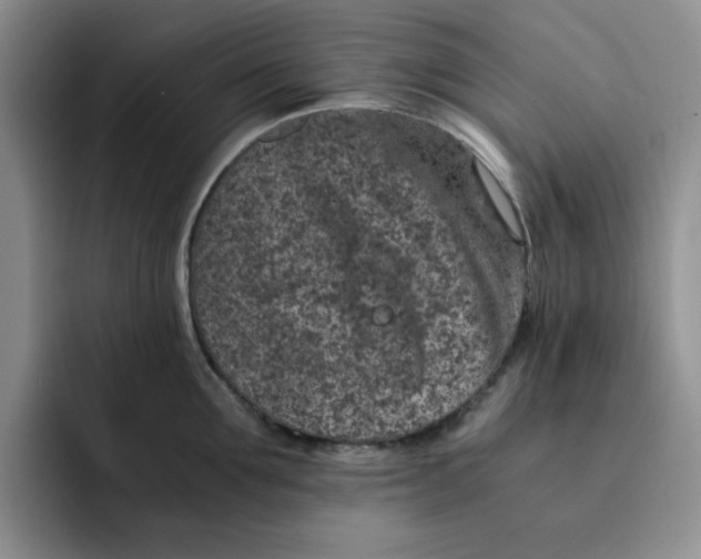 X0000091650907200709201124