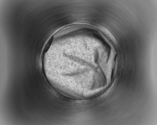 X0000091650908200709201124