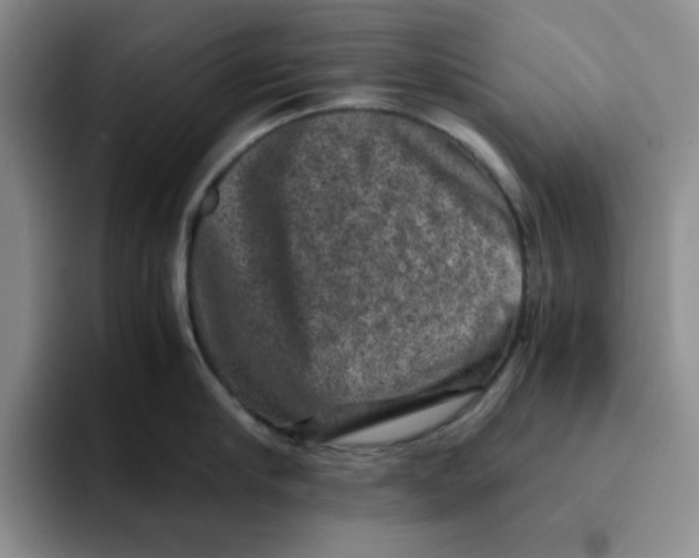 X0000091650910200709201124