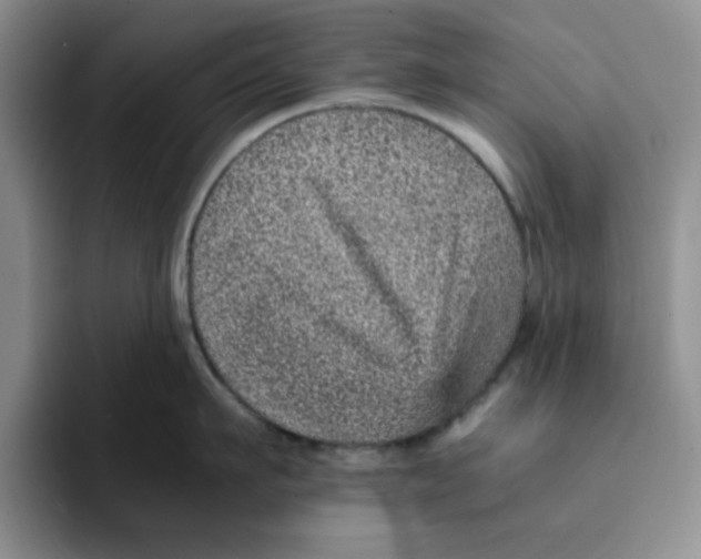 X0000091650911200709201124