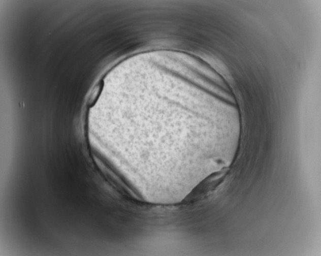 X0000091650912200709201124