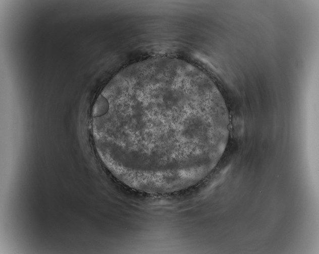 X0000091650913200709201123