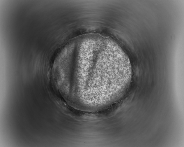 X0000091650914200709201123