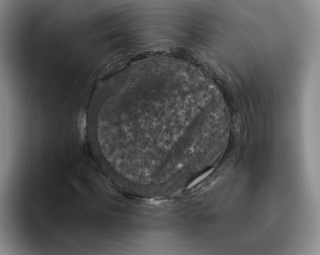 X0000091650916200709201123