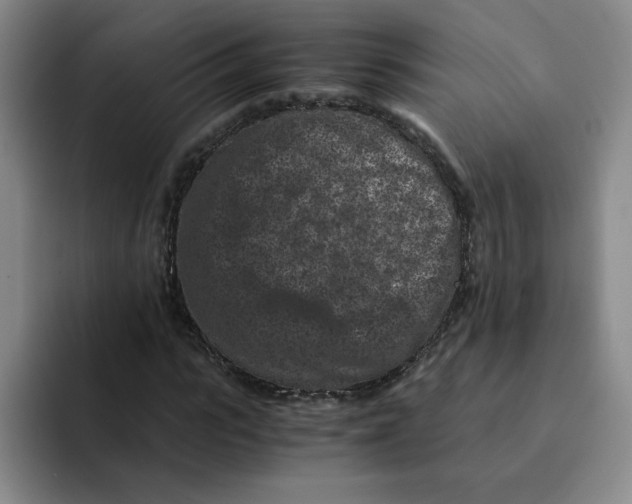 X0000091650919200709201123