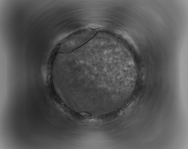 X0000091650920200709201123