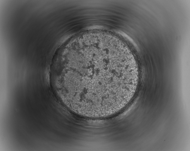 X0000091650921200709201123