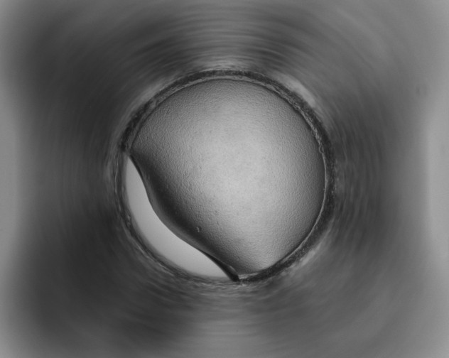 X0000091650922200709201123