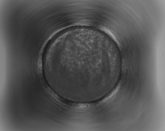 X0000091650923200709201123