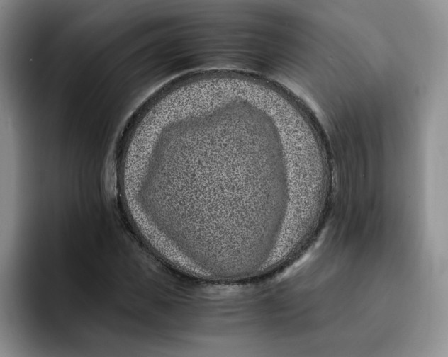 X0000091650925200709201123