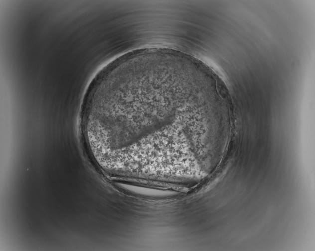 X0000091650928200709201123