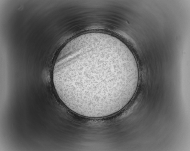 X0000091650929200709201123