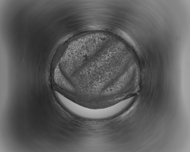 X0000091650930200709201123