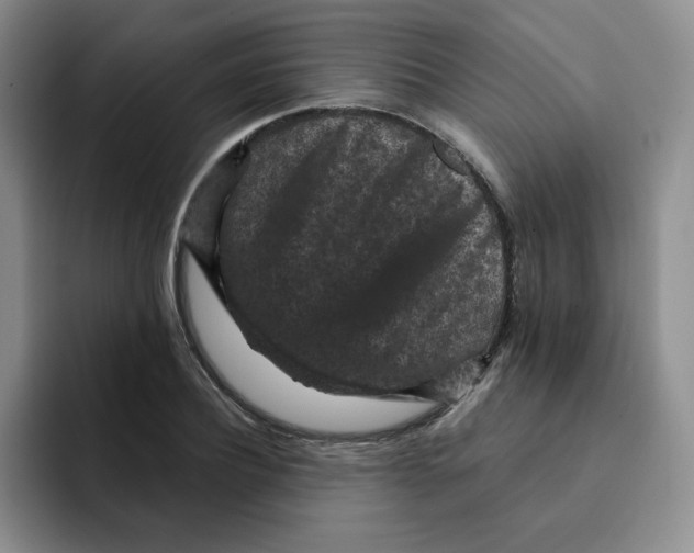 X0000091650932200709201123