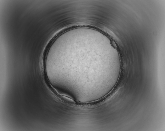 X0000091650934200709201123