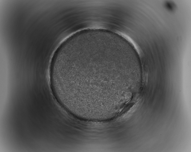 X0000091650935200709201123