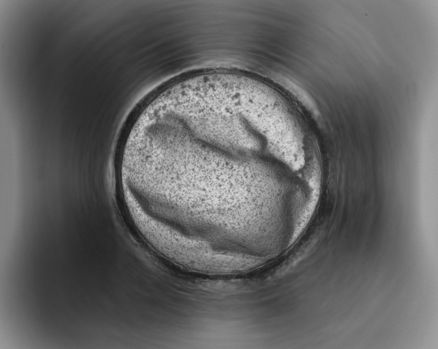 X0000091650936200709201123