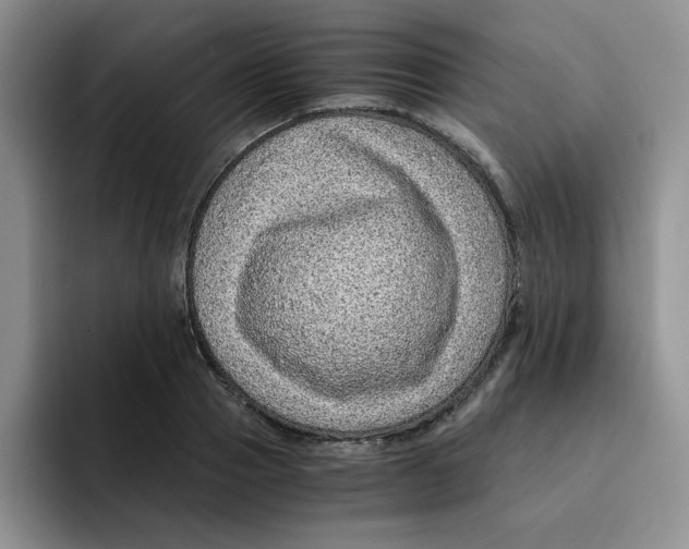 X0000091650937200709201123