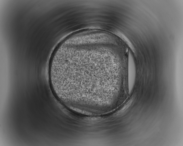 X0000091650939200709201123