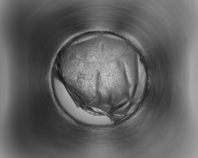 X0000091650942200709201123