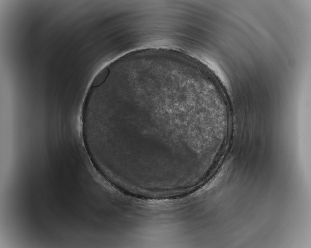 X0000091650944200709201123