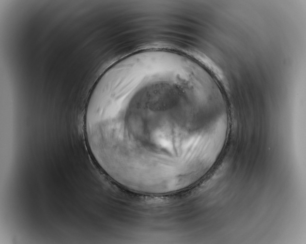 X0000091650945200709201124