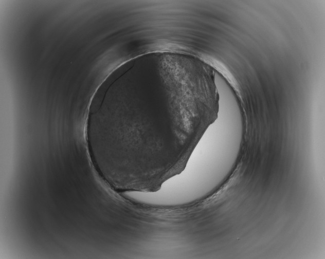 X0000091650946200709201124