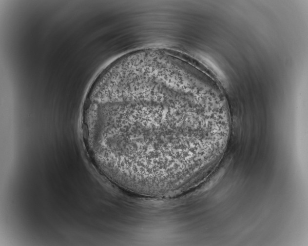 X0000091650948200709201124