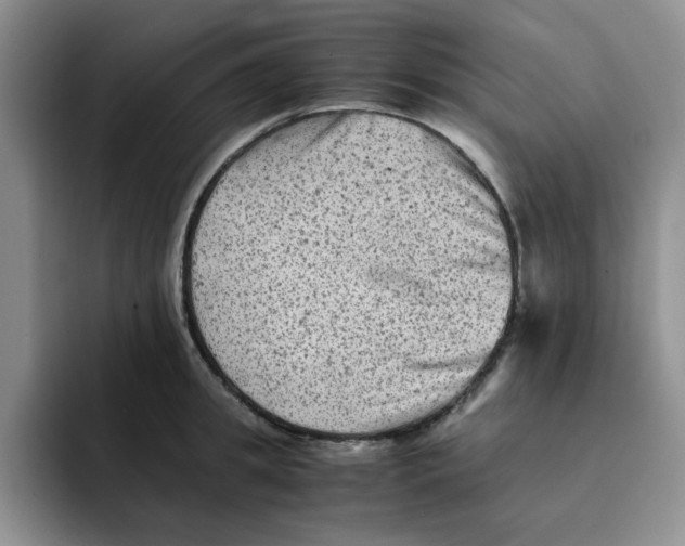 X0000091650949200709201124