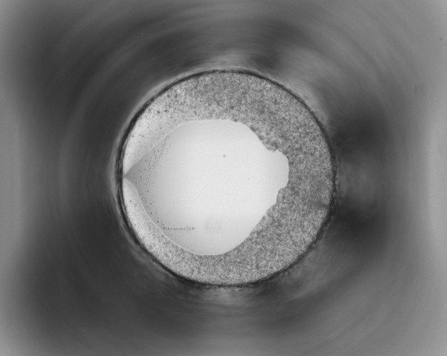 X0000091650950200709201124