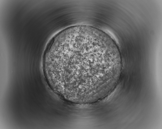 X0000091650952200709201124