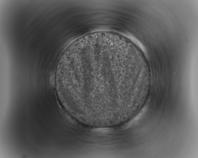 X0000091650953200709201124