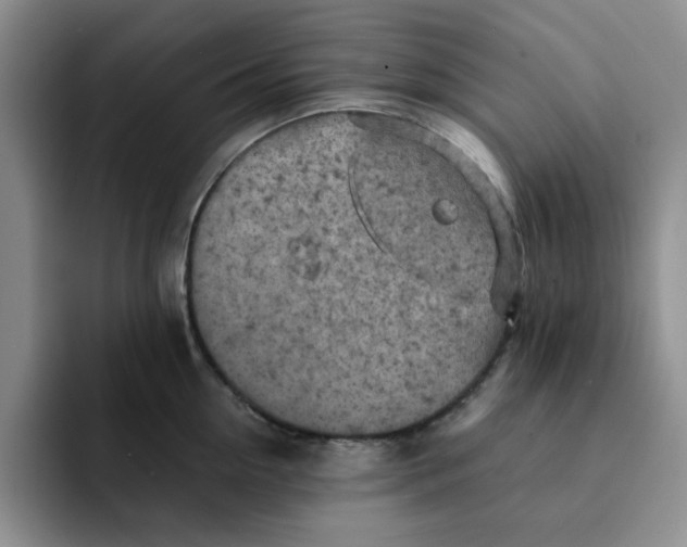 X0000091650954200709201124