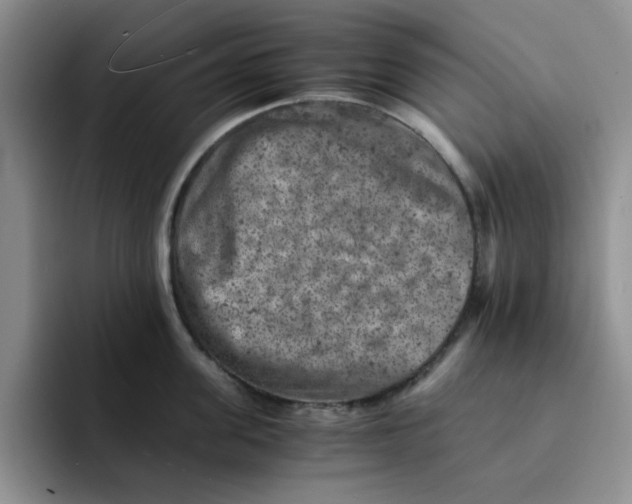 X0000091650955200709201124