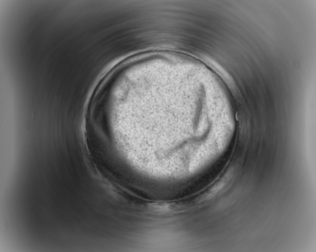 X0000091650956200709201124