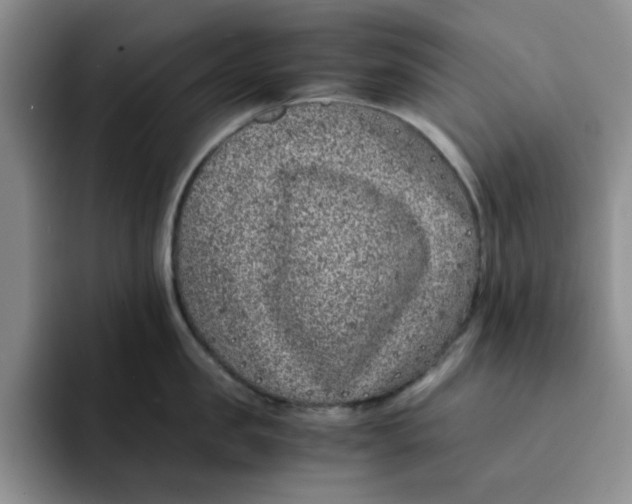 X0000091650957200709201124