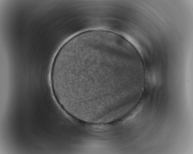 X0000091650959200709201124