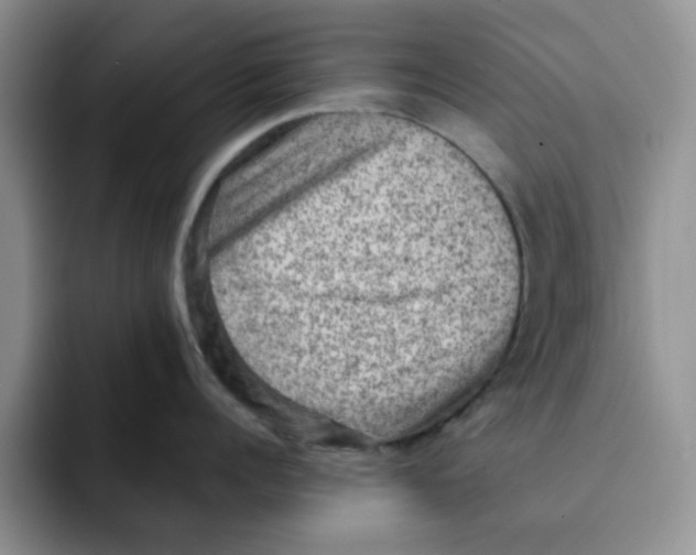 X0000091650960200709201124