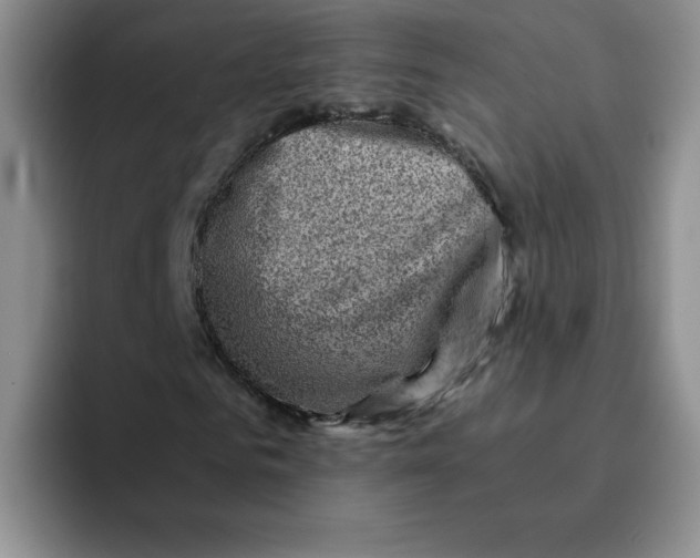 X0000091650961200709201123