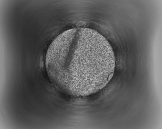 X0000091650962200709201123