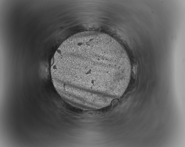 X0000091650963200709201123