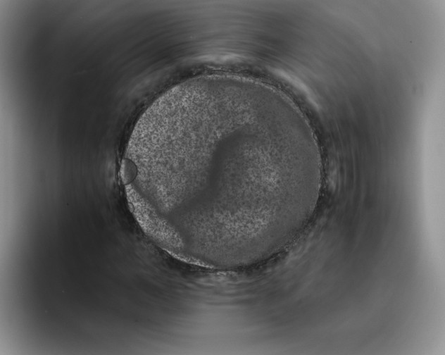 X0000091650966200709201123